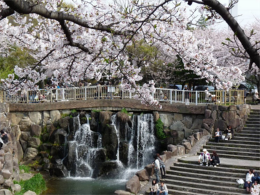 yamazaki-river